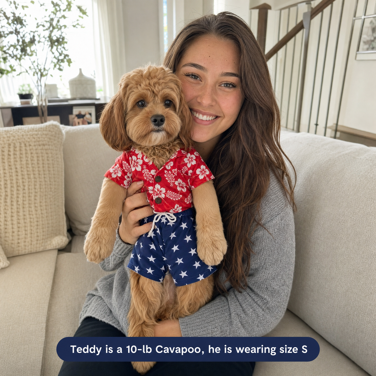 Woman holding a Cavapoo wearing the Hawaiian party outfit in size S