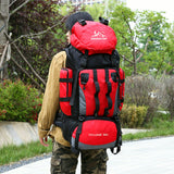Red | On-body rear view
